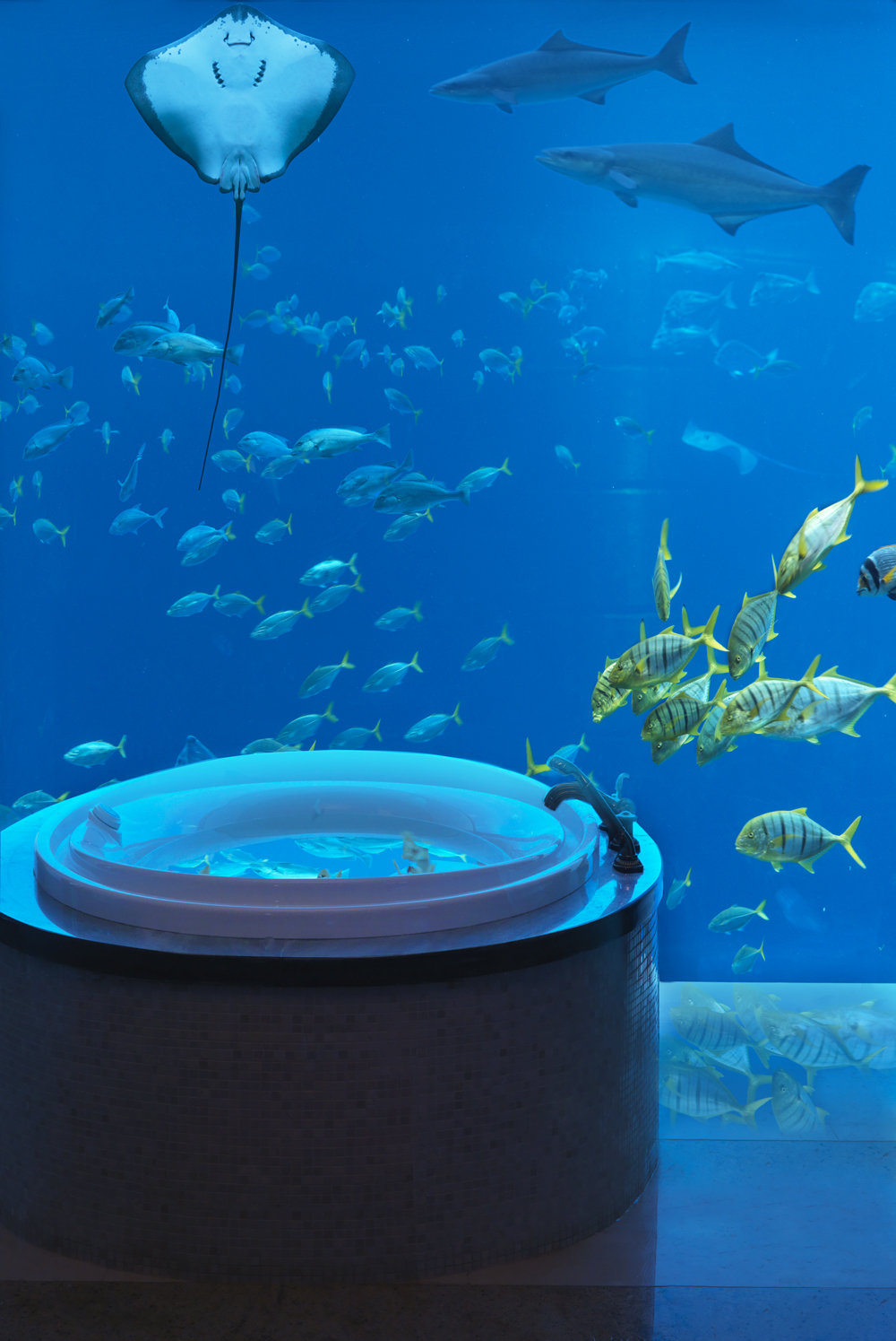 Atlantis, The Palm