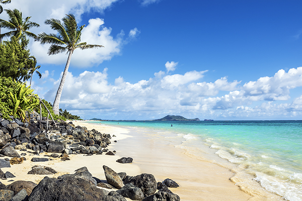 ship luggage to Honolulu, Hawaii