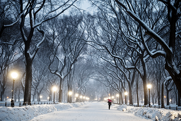 ship your luggage to New York City