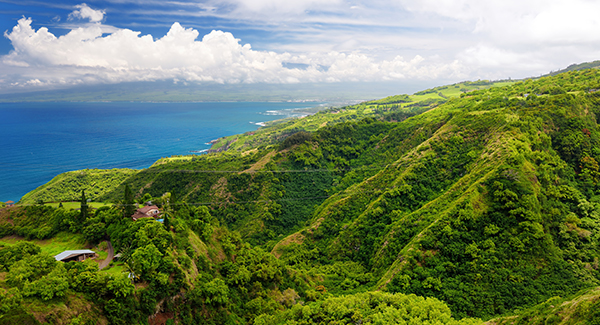 Traveling for Spring Vacation to Hawaii using Luggage Free