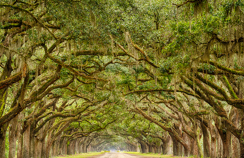 Where to travel for Labor Day this year is Savannah, Georgia