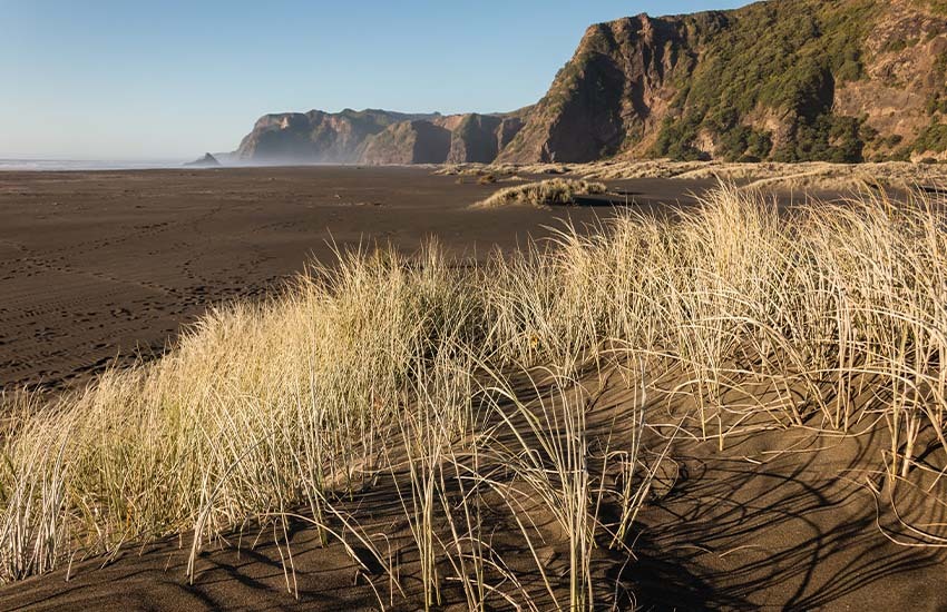 Black sand beaches