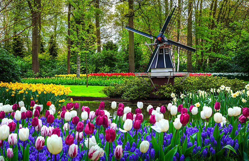 Amsterdam