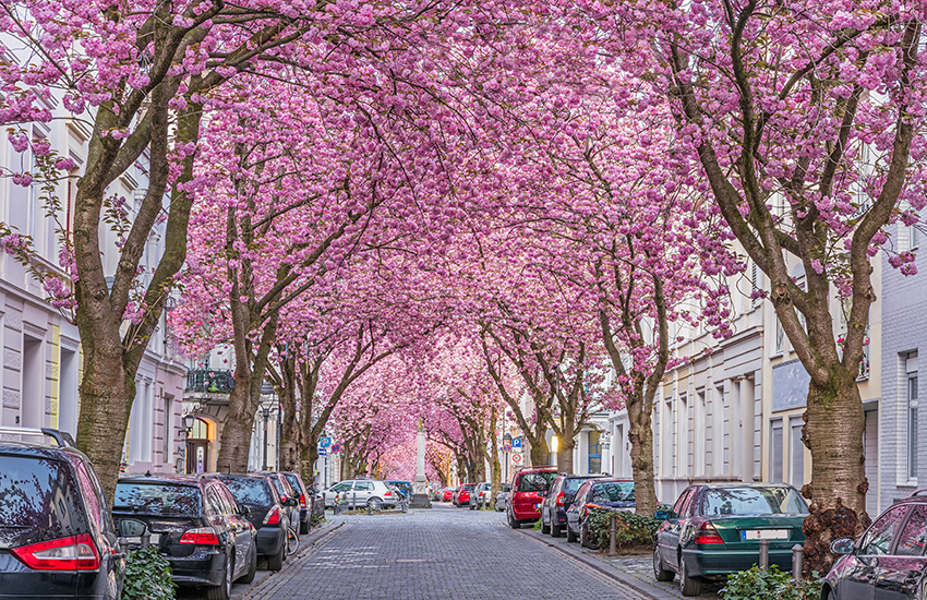 European spring destinations